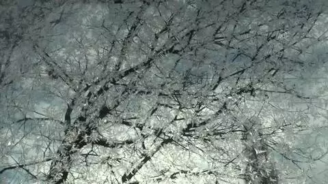 Soğuk hava hayatı olumsuz etkiliyor