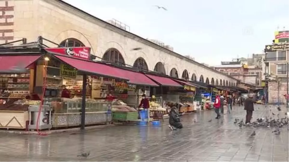 İstanbul'daki belediyelerden sokak hayvanlarına mama ve su desteği