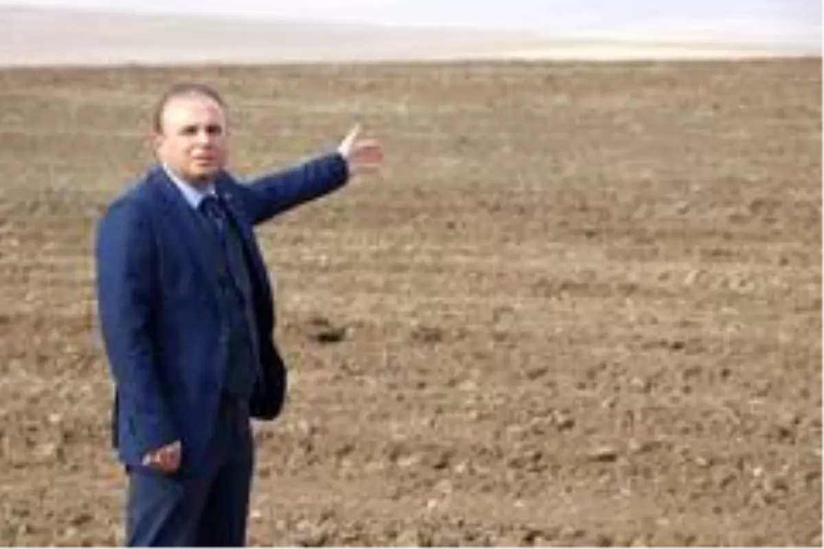 Aksaray'da tarımsal üretim değerinde artış