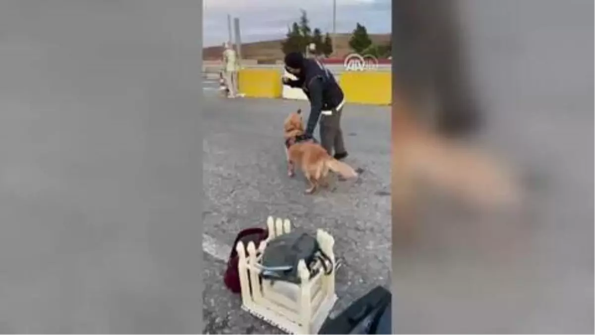 Son dakika haberleri | ÇANAKKALE - Uyuşturucu operasyonunda yakalanan 11 şüpheli tutuklandı