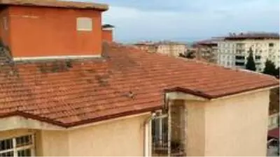Çatıda mahsur kalan kedi mahalleyi karıştırdı