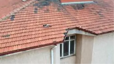 Çatıda mahsur kalan kedi mahalleyi karıştırdı