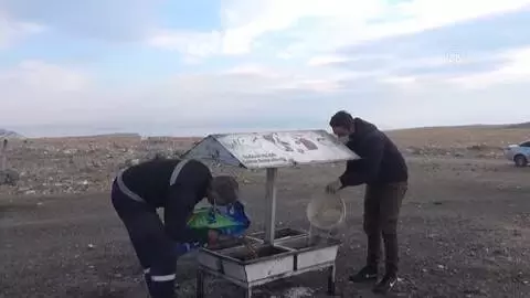 Erciş'te sokakta yaşayan hayvanları unutulmadı