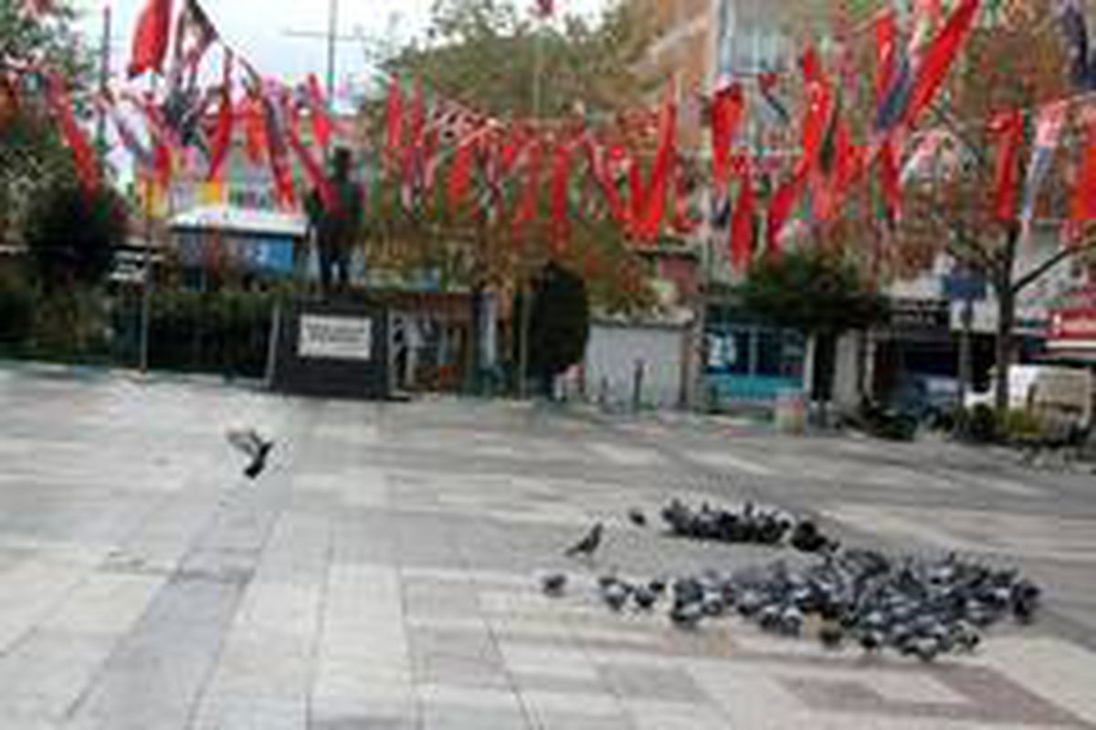 Manyas'ta meydanlar kuşlara kaldı