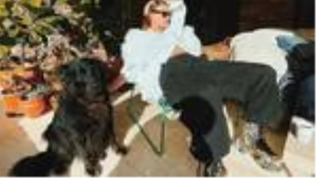 Serenay Sarıkaya'nın botları olay oldu