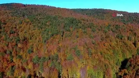 Sonbaharda mest eden görüntüler...İnegöl ormanlarında renk cümbüşü