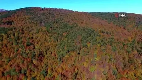 Sonbaharda mest eden görüntüler...İnegöl ormanlarında renk cümbüşü