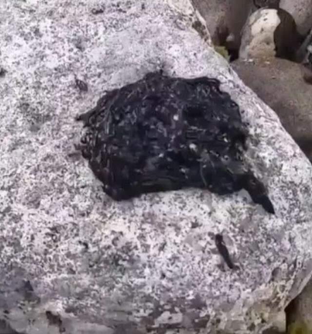 Venom nedir? Venom filmi konusu nedir? Twitter'da gündeme gelen venom ne demek?