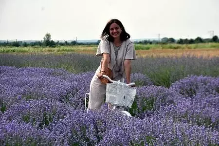 Kuraklığın yaşandığı Edirne'de, buğday ve ayçiçeği tarlalarına lavanta ekiliyor Kuraklığın yaşandığı Edirne'de, buğday ve ayçiçeği tarlalarına lavanta ekiliyor
