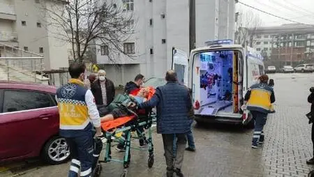 Mantar yiyip yattılar, sabah baygın bulundular Mantar yiyip yattılar, sabah baygın bulundular
