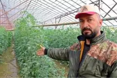 Antalya'da sel 9 bin 530 dekar ekili alana zarar verdi Antalya'da sel 9 bin 530 dekar ekili alana zarar verdi