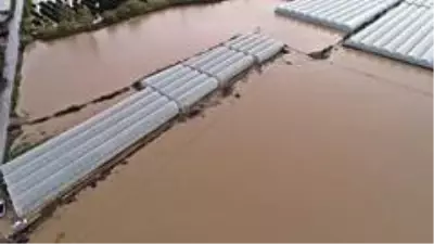 Antalya'da sel 9 bin 530 dekar ekili alana zarar verdi Antalya'da sel 9 bin 530 dekar ekili alana zarar verdi