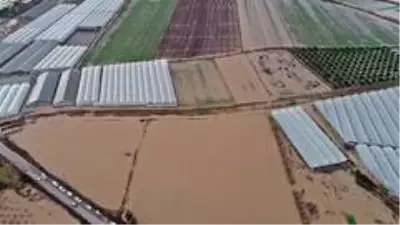 Antalya'da sel 9 bin 530 dekar ekili alana zarar verdi Antalya'da sel 9 bin 530 dekar ekili alana zarar verdi