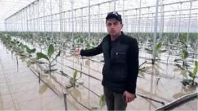 Antalya'da sel 9 bin 530 dekar ekili alana zarar verdi Antalya'da sel 9 bin 530 dekar ekili alana zarar verdi