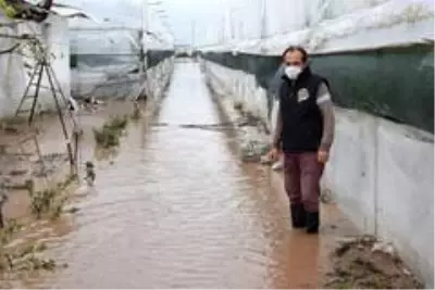 Antalya'da sel 9 bin 530 dekar ekili alana zarar verdi Antalya'da sel 9 bin 530 dekar ekili alana zarar verdi