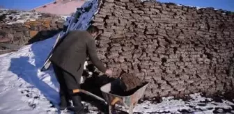 Alagöz: Ardahanlı besici kaloriferli evini tezekle ısıtarak yakacak maliyetinden kurtuldu Alagöz: Ardahanlı besici kaloriferli evini tezekle ısıtarak yakacak maliyetinden kurtuldu