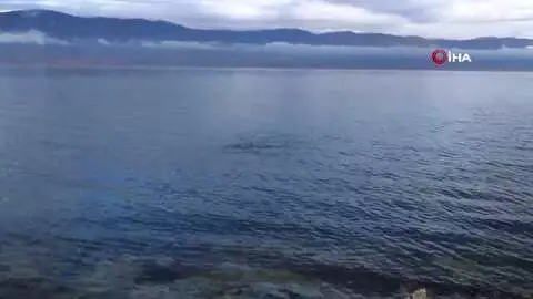 - Burdur Gölü'ndeki gaz çıkışları incelendi; 'Yer altı suyu boşalımı olabilir' - Burdur Gölü'ndeki gaz çıkışları incelendi; 'Yer altı suyu boşalımı olabilir'