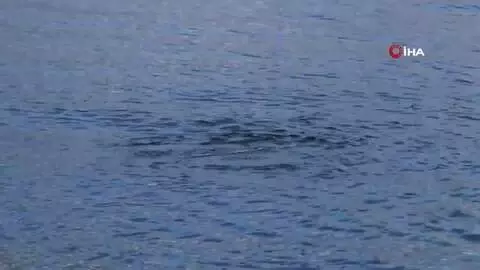 - Burdur Gölü'ndeki gaz çıkışları incelendi; 'Yer altı suyu boşalımı olabilir' - Burdur Gölü'ndeki gaz çıkışları incelendi; 'Yer altı suyu boşalımı olabilir'