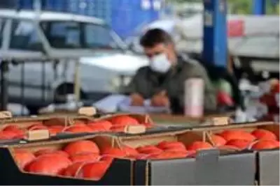 - Rusya'nın domates ve biber kararına ihracatçı ile üreticilerden tepki - Rusya'nın domates ve biber kararına ihracatçı ile üreticilerden tepki