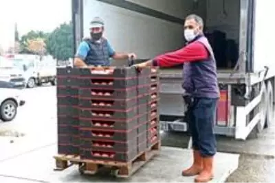 - Rusya'nın domates ve biber kararına ihracatçı ile üreticilerden tepki - Rusya'nın domates ve biber kararına ihracatçı ile üreticilerden tepki