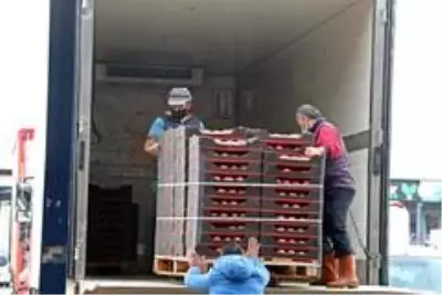 - Rusya'nın domates ve biber kararına ihracatçı ile üreticilerden tepki - Rusya'nın domates ve biber kararına ihracatçı ile üreticilerden tepki