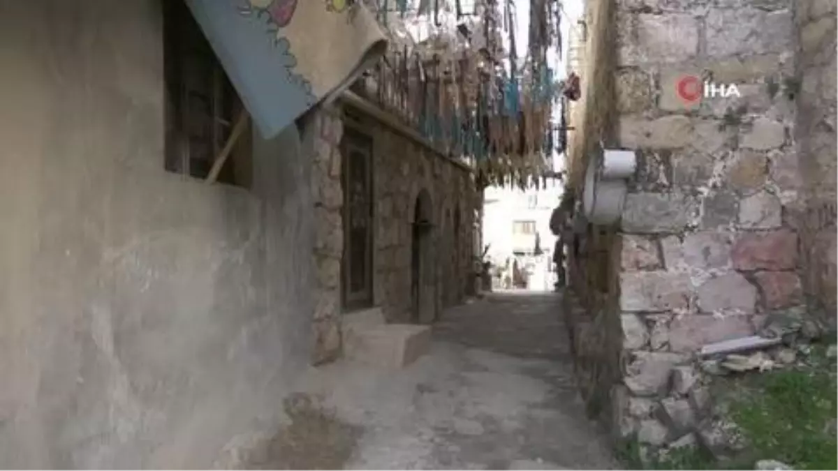 Filistinli genç en az bin 300 tarihi eseri kafede sergiliyor
