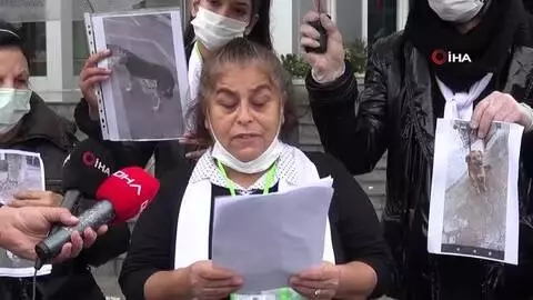 İzmit'te öldürülen köpekler için hayvanseverlerden tepki İzmit'te öldürülen köpekler için hayvanseverlerden tepki