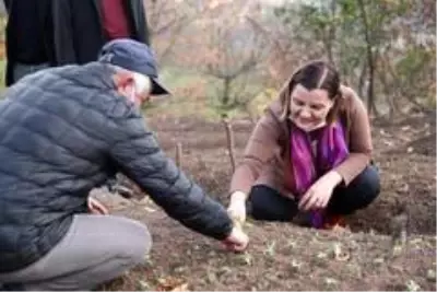 İzmit'te salep ve ekinezya üretimi için inceleme yapıldı İzmit'te salep ve ekinezya üretimi için inceleme yapıldı