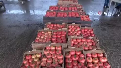 - Rusya'nın domates ve biber kararına ihracatçı ile üreticilerden tepki - Rusya'nın domates ve biber kararına ihracatçı ile üreticilerden tepki