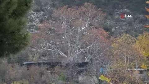 Türk siyasi tarihinde herkes değişti bu köyün muhtarı değişmedi Türk siyasi tarihinde herkes değişti bu köyün muhtarı değişmedi