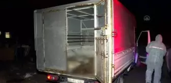 Çankaya Belediyesi: Son dakika haberi: Zehirlendikleri iddia edilen 6 köpek ölüsü bulundu Çankaya Belediyesi: Son dakika haberi: Zehirlendikleri iddia edilen 6 köpek ölüsü bulundu