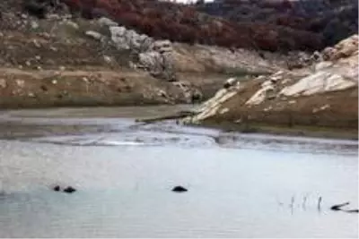 Baraj suları çekildi tarihi Çağlayan Köprüsü gün yüzüne çıktı