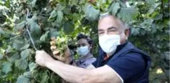 Toprak Mahsulleri Ofisi: Başkanın TMO zaferi: Fındık alımı 30 Nisan 2021'e kadar uzatıldı Toprak Mahsulleri Ofisi: Başkanın TMO zaferi: Fındık alımı 30 Nisan 2021'e kadar uzatıldı