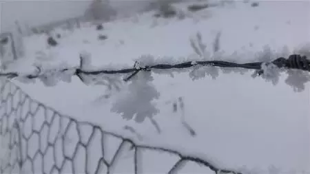 Erzurum ve Kars'ta yoğun sis Erzurum ve Kars'ta yoğun sis