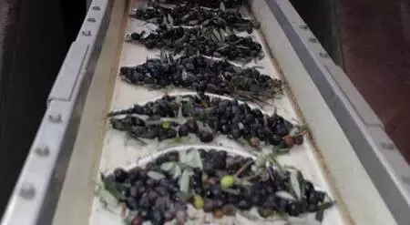 Eski imam ticarete atıldı, kurduğu işletme ile ihracat yapıyor