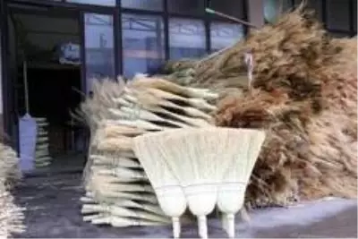 Teknoloji gelişti, ot süpürgeciliği azaldı Teknoloji gelişti, ot süpürgeciliği azaldı