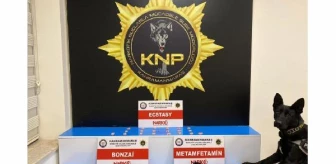 Kahramanmaraş'ta uyuşturucu ticaretine 21 tutuklama