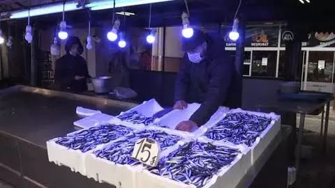 Karadeniz'de hamsi azalınca balık tezgahları boş kaldı