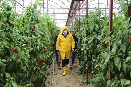 Kaş'ta sel ve su baskınlarında 70 dönüm tarım arazisi zarar gördü Kaş'ta sel ve su baskınlarında 70 dönüm tarım arazisi zarar gördü
