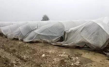 Kaş'ta sel ve su baskınlarında 70 dönüm tarım arazisi zarar gördü Kaş'ta sel ve su baskınlarında 70 dönüm tarım arazisi zarar gördü