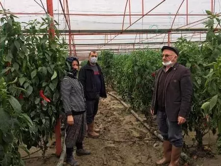 Kaş'ta sel ve su baskınlarında 70 dönüm tarım arazisi zarar gördü Kaş'ta sel ve su baskınlarında 70 dönüm tarım arazisi zarar gördü