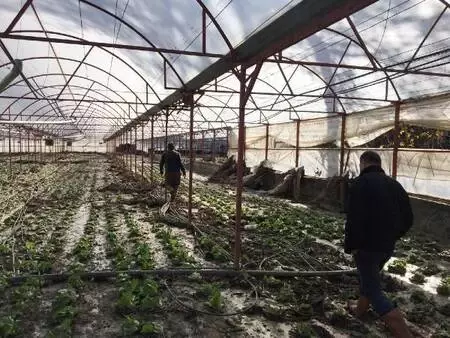 Kaş'ta sel ve su baskınlarında 70 dönüm tarım arazisi zarar gördü Kaş'ta sel ve su baskınlarında 70 dönüm tarım arazisi zarar gördü