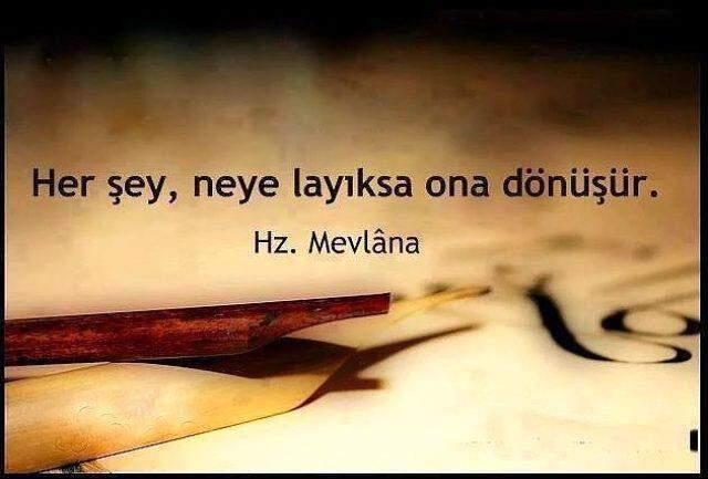 Mevlana Celaleddin Rumi kimdir? Mevlana Mesnevi şiirleri, sözleri ve eserleri nedir? Şeb-i Arûs nedir? Mesnevi sözleri, şiirleri!