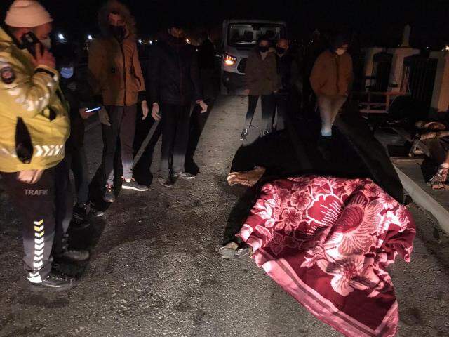 Otomobilin çarptığı yaralı atın tedavisi 'yılan' hikayesine döndü