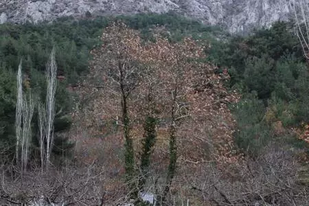 Spil Dağı'nda sis güzelliği