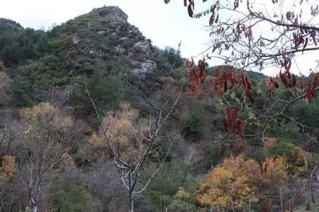 Spil Dağı'nda sis güzelliği