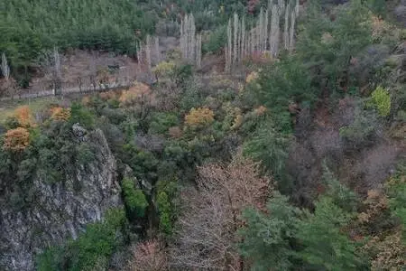 Spil Dağı'nda sis güzelliği