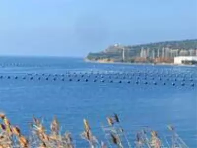 Tarım İl Müdürü Alkan, Erdek'i ziyaret etti Tarım İl Müdürü Alkan, Erdek'i ziyaret etti