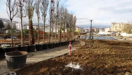 Son dakika haberi | TOKİ Başkanı Bulut: Yerel yönetimlerle iş birliği halindeyiz Son dakika haberi | TOKİ Başkanı Bulut: Yerel yönetimlerle iş birliği halindeyiz