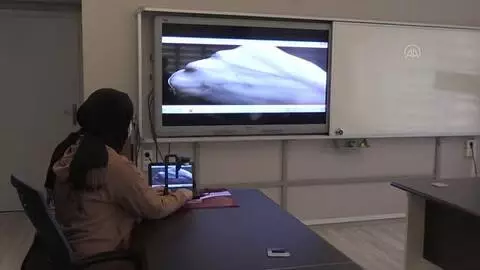 Üniversiteli Elif babasının rahatsızlığından etkilenerek tasarladığı damar görüntüleme cihazını geliştirmek istiyor Üniversiteli Elif babasının rahatsızlığından etkilenerek tasarladığı damar görüntüleme cihazını geliştirmek istiyor